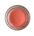 Coral Beat